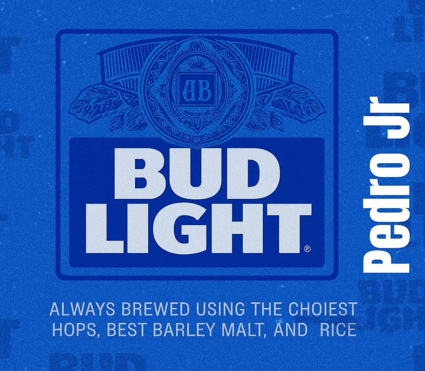 Custom Drink-Inspired Water Bottle – 20 & 22oz Stainless Steel with Flip Lid (Dr Pepper, Modelo, Red bull etc)