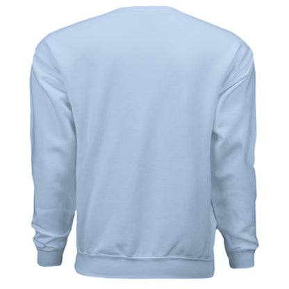 LIGHT BLUE - BACK