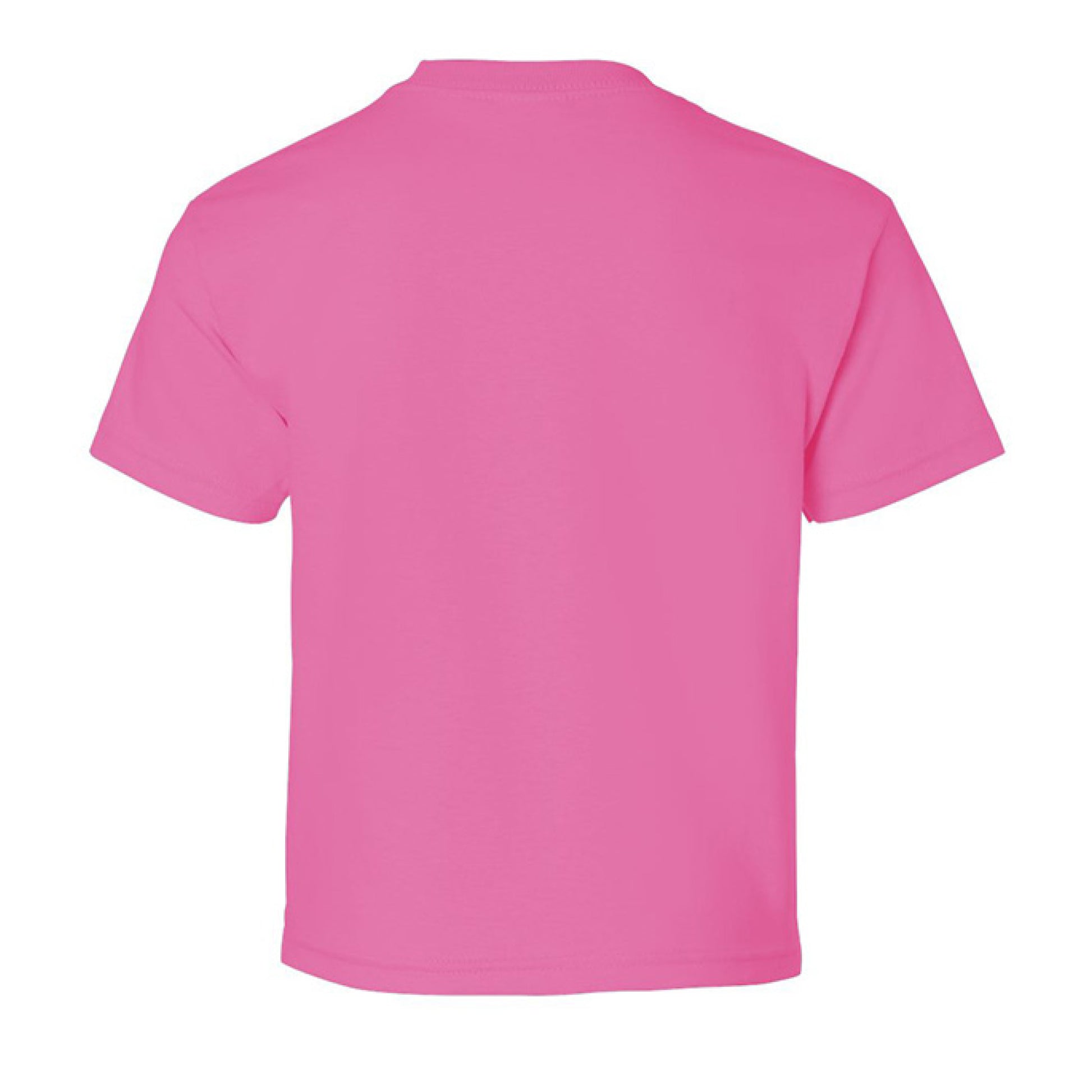 SAFETY PINK - BACK