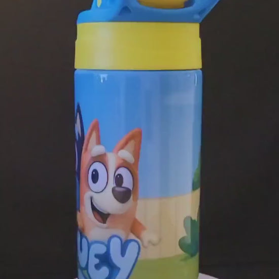 Cartoon Sippy Cup Personalized Kids Water Bottle with Flip Lid – 12 oz Leakproof Bottle